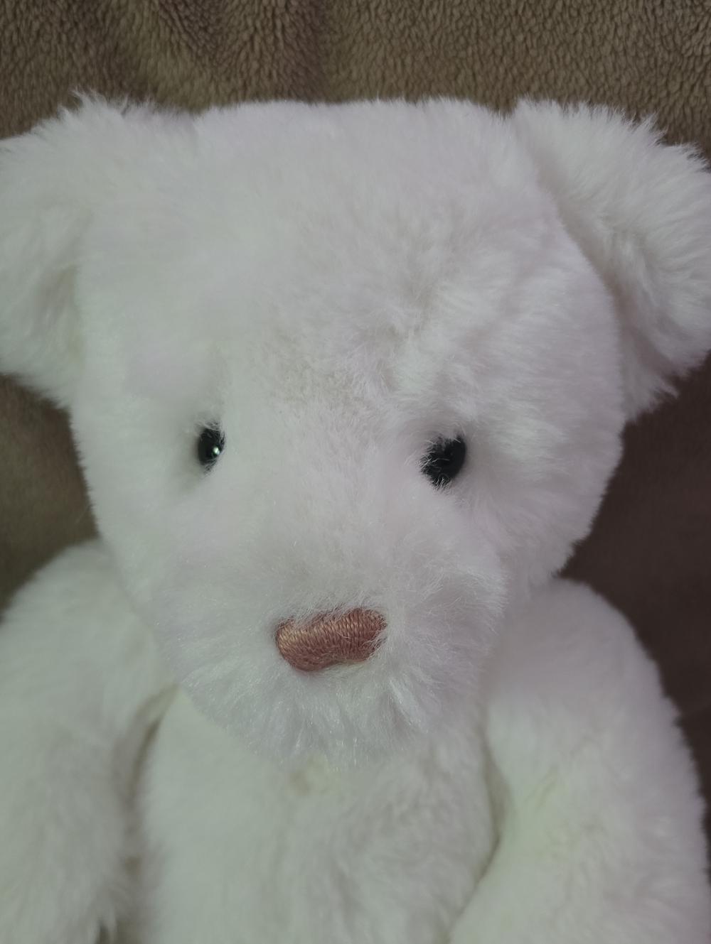 Rare 1985 Gund White Bear - Picture 9 of 10